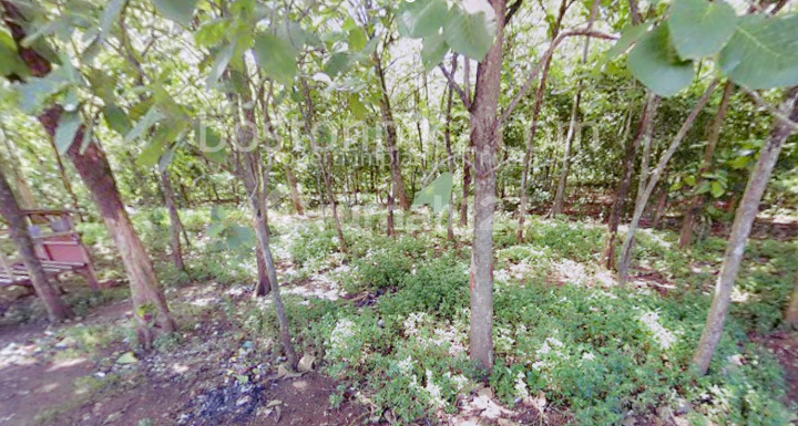 Jual Hanya 3,3 Juta Tanah 5000 M2 Samping Citra Garden Serpong Suradita Tangerang - Sell Land 5000 Sqm Side Grand Serpong Permai Suradita Tangerang Banten Jual Hanya 3,3 Juta Tanah 5000 M2 Samping Citra Garden Serpong Suradita Tangerang - Sell Land 5000 Sqm Side Grand Serpong Permai Suradita Tangerang Banten