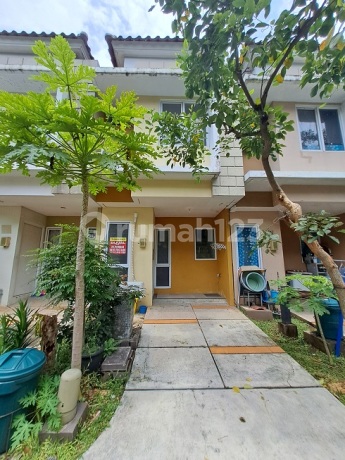 Ready-to-live house, 2 floors, South, in Virginia Village Paramount Cluster.