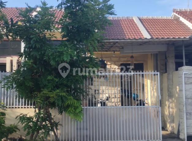 Dijual Rumah Palm Oasis Sememi Surabaya Barat Dijual Rumah Palm Oasis Sememi Surabaya Barat