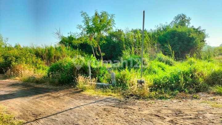 Kavling Siap Bangun Bumi Wonorejo Asri Rungkut Surabaya 197m2 Tanah Padat Bentuk Kotak Murah Kavling Siap Bangun Bumi Wonorejo Asri Rungkut Surabaya 197m2 Tanah Padat Bentuk Kotak Murah