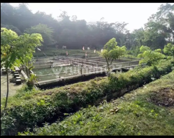Dijual Kavling Empang Dan Kebun Kota Serang Baru Bekasi