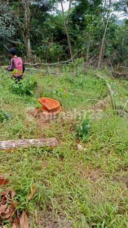 Jual Cepat Tanah 11.170 M2, Harga Nego