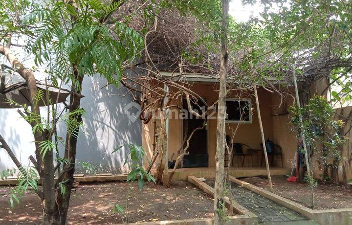 Dijual Rumah Cantik Siap Huni Di Perumahan Cilebut Residence 2 Strategis 5 Menit Dari Stasiun & Tol Bogor Selatan