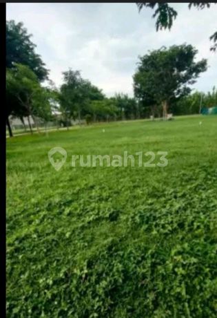 Kavling Tanah Gandeng Atau Jejer Canberra Grand Pakuwon Margomulyo Tanah