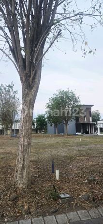 Kavling Tanah Gandeng bisa Beli Satu Canberra Grand Pakuwon Margomulyo Gresik Surabaya