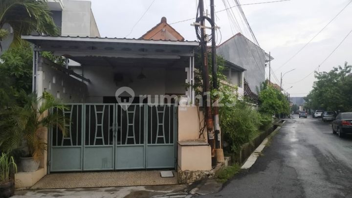 Rumah Strategis Dekat Fasilitas Umum di Kanguru Semarang Rumah Rumah Strategis Dekat Fasilitas Umum di Kanguru Semarang Rumah