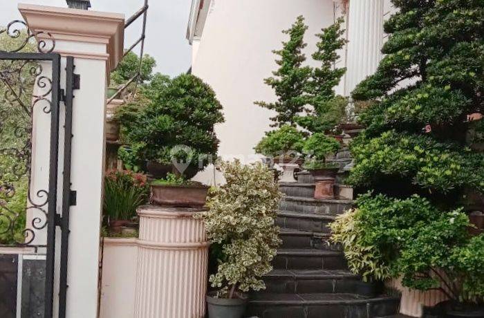 Rumah Mewah Klasik Pluit Jual Cepat Lokasi Bagus Jalan Lebar