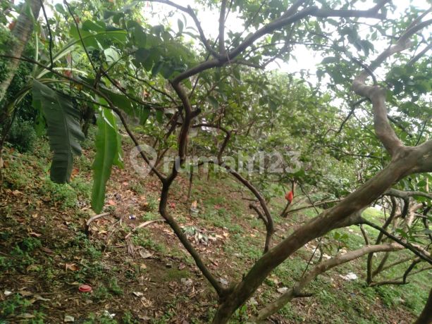 Tanah Kavling Murah Shm Di Sawangan Masuk Mobil Tanah Kavling Murah Shm Di Sawangan Masuk Mobil