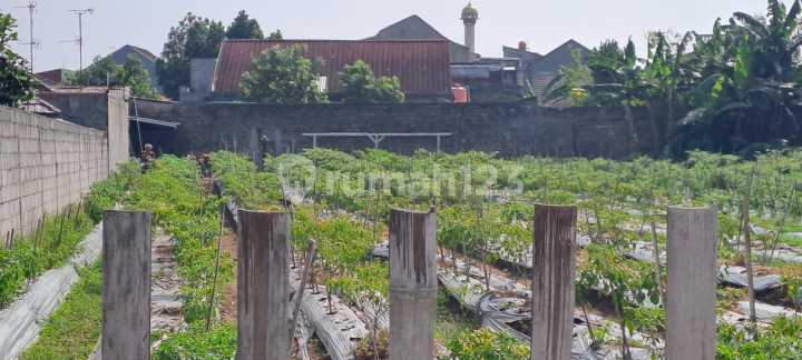 Dijual Murah Tanah SHM 1282M2 di Komplek Goodyear, Ciomas, Bogor Dijual Murah Tanah SHM 1282M2 di Komplek Goodyear, Ciomas, Bogor