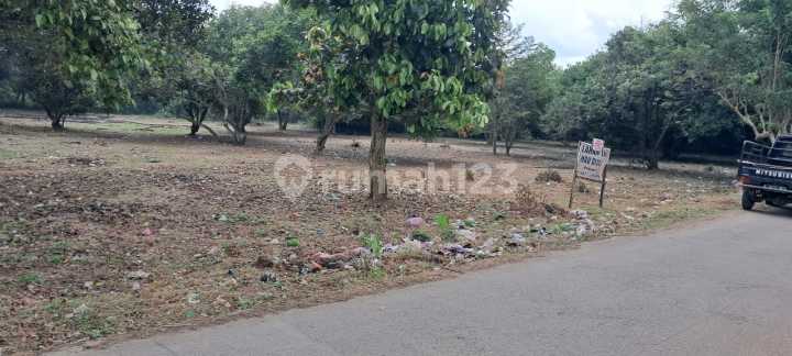 Dijual Tanah Strategis – Citra Raya Cikupa: 10.000 M² 