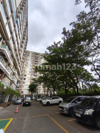 Auto Cuan! Murah Banget Brand New!! Jual Cepat 2Br Apartemen Paradise Mansion Strategis Fasilitas Swimming Pool Gym Dll Auto Cuan! Murah Banget Brand New!! Jual Cepat 2Br Apartemen Paradise Mansion Strategis Fasilitas Swimming Pool Gym Dll