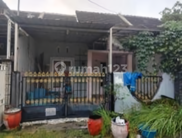 Dijual Rumah Murah dan Bagus di Gresik - Bungah Dijual Rumah Murah dan Bagus di Gresik - Bungah