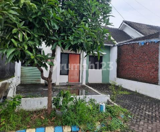 Dijual Rumah Murah dan Bagus di Sidoarjo - Anggaswangi (200). Dijual Rumah Murah dan Bagus di Sidoarjo - Anggaswangi (200).