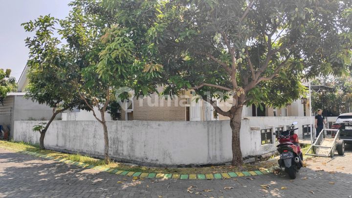 Rumah Hook Dijalan Kembar Grand Surya, Butuh Jual Cepat