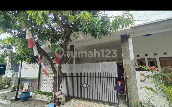 Dijual Rumah Sederhana Dekat Undip Tembalang Dijual Rumah Sederhana Dekat Undip Tembalang