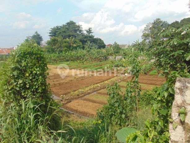 Kavling Siap Bangun Budi Agung Tanah Sareal Jual Harga Lelang