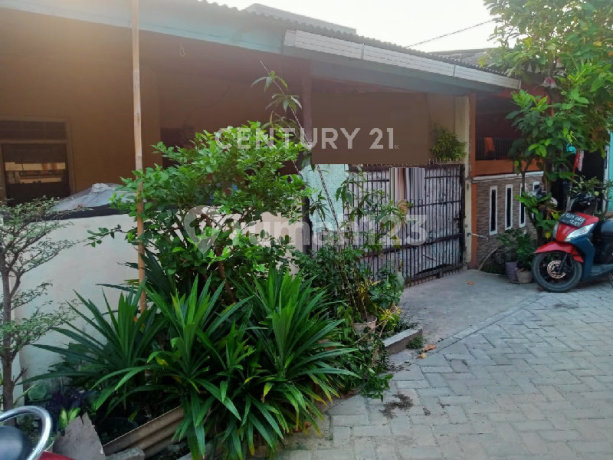 Rumah Taman Raya Rajeg Siap Huni Hunian Sudah Ramai Rumah Taman Raya Rajeg Siap Huni Hunian Sudah Ramai