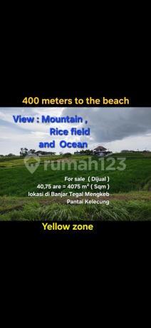 Tanah Dijual di Banjar Tegal Mengkeb Tabanan Bali Tanah Dijual di Banjar Tegal Mengkeb Tabanan Bali