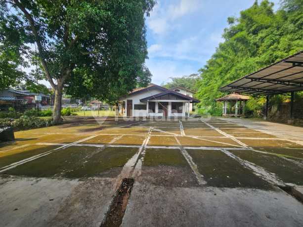 Dijual Cepat Murah Rumah Tua dan Tanah Pinggir Jalan Lebak Bulus