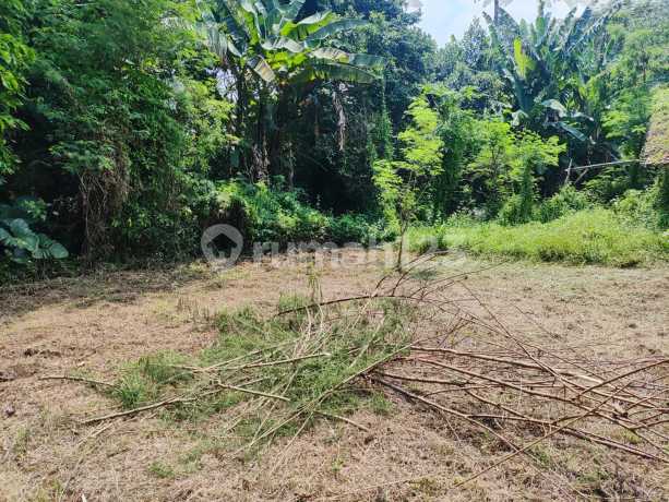 Jual Cepat Tanah Purwadadi Subang Jual Cepat Tanah Purwadadi Subang