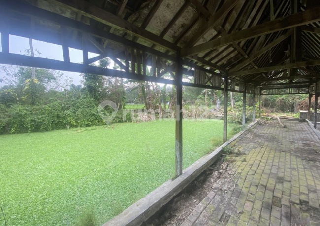 Quick Sale of Spacious Land in Sleman Mlati, Special Region of Yogyakarta Quick Sale of Spacious Land in Sleman Mlati, Special Region of Yogyakarta