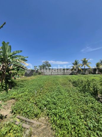 Jumbo Size Plots in East Balikpapan Near the Stadium