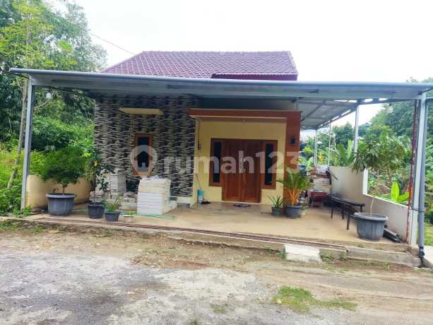 Rumah Murah Di Candi Kalasan Timur Pasadena