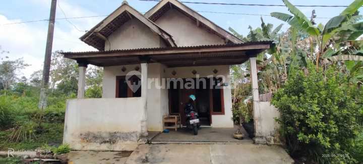 DIJUAL RUMAH SIAP HUNI DEKAT EXIT TOL MALANG-SURABAYA DIJUAL RUMAH SIAP HUNI DEKAT EXIT TOL MALANG-SURABAYA