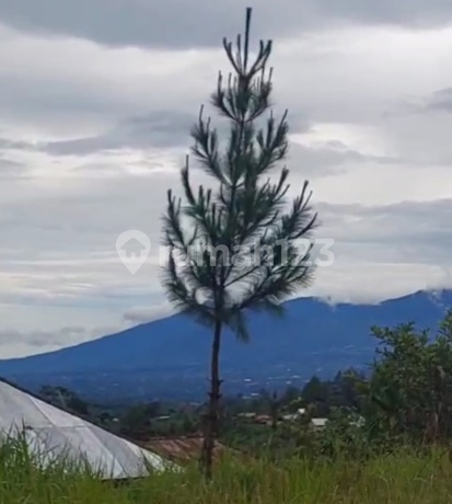 Land on Jalan Utama Kintamani Near Penelokan Lake Batur Land on Jalan Utama Kintamani Near Penelokan Lake Batur