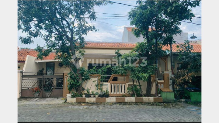 Rumah Siap Huni Sedati Sidoarjo Dekat Bandara Juanda - LT 150 SHM Harga 800 Juta Rumah Siap Huni Sedati Sidoarjo Dekat Bandara Juanda - LT 150 SHM Harga 800 Juta