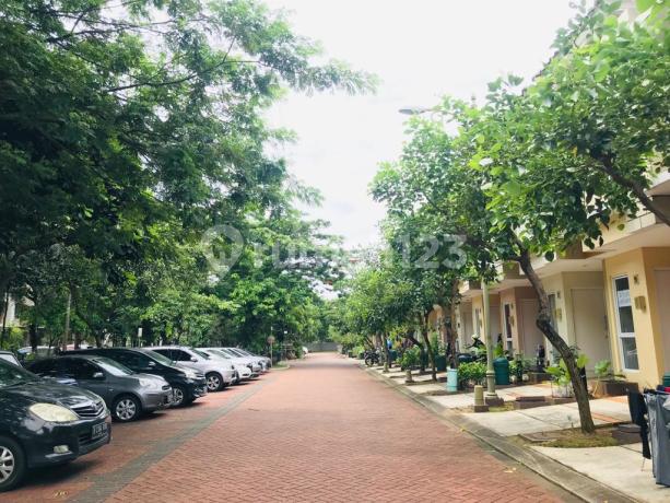 Dijual Rumah 2 Lantai Cluster Virginia Village Gading Serpong, Tangerang Dijual Rumah 2 Lantai Cluster Virginia Village Gading Serpong, Tangerang