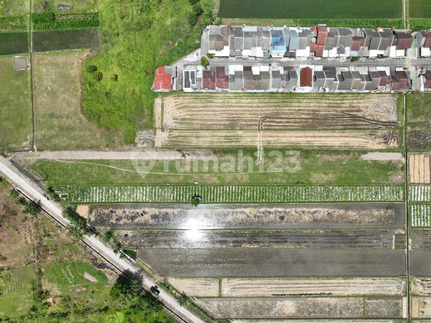 8 menit dari Kampus UMY, Tanah SHM Jogja 8 menit dari Kampus UMY, Tanah SHM Jogja