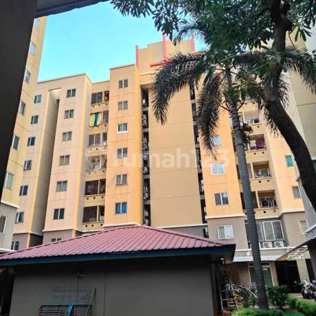 Apartment Palm Mansion (2 BR)