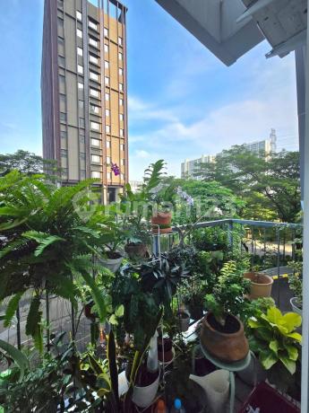 Apartemen Casa De Parco Jual Semi Furnished Lantai Rendah View Cakep Siap Huni Apartemen Casa De Parco Jual Semi Furnished Lantai Rendah View Cakep Siap Huni