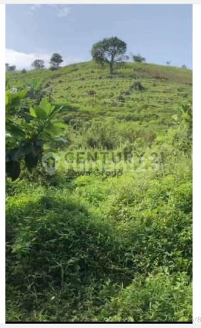 Dijual Tanah Belakang Permata Sentul Golf Club Di Citereup Bogor Dijual Tanah Belakang Permata Sentul Golf Club Di Citereup Bogor