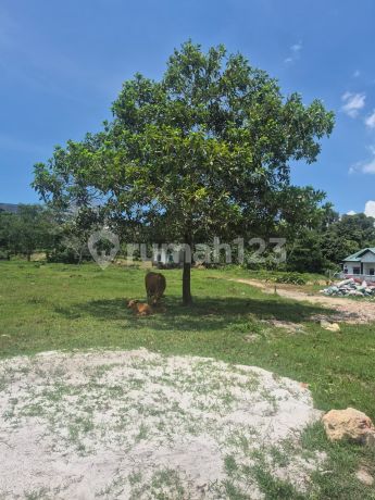 Lahan Kavling Siap Bangun Kampung Timur Akses Strategis 