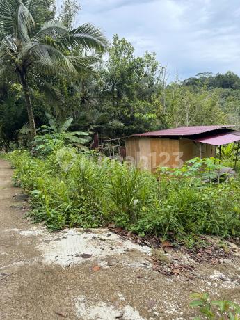 Tanah Murah Lokasi Kilo 9 Dekat Dengan Jalan Poros Tanah Murah Lokasi Kilo 9 Dekat Dengan Jalan Poros