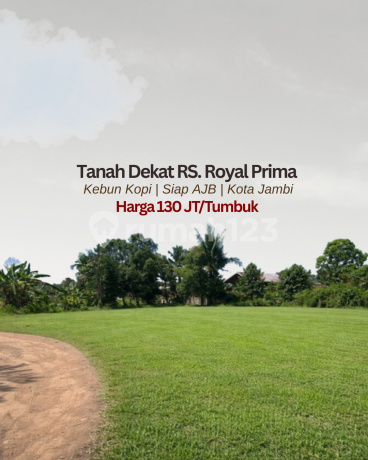 Tanah Murah Lokasi di Kebun Kopi Kota Jambi Harga 130 Jt/Tumbuk Tanah Murah Lokasi di Kebun Kopi Kota Jambi Harga 130 Jt/Tumbuk