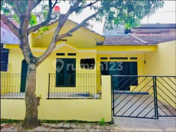Rumah 1 Lantai Murah, di Puri Nirwana, Pabuaran, Cibinong – SHM Rumah 1 Lantai Murah, di Puri Nirwana, Pabuaran, Cibinong – SHM