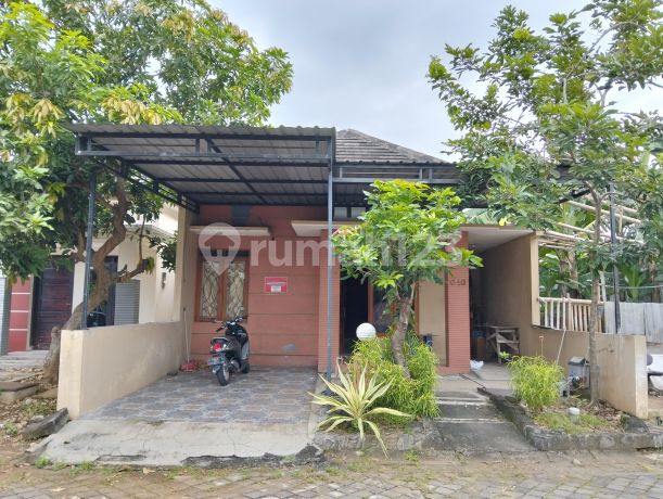 Rumah Butuh Renovasi di Gayamsari (A4157) Rumah Butuh Renovasi di Gayamsari (A4157)