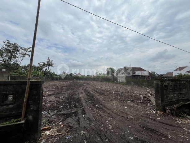 Dekat Tengkleng Gajah Kavling Premium Lokasi Strategis