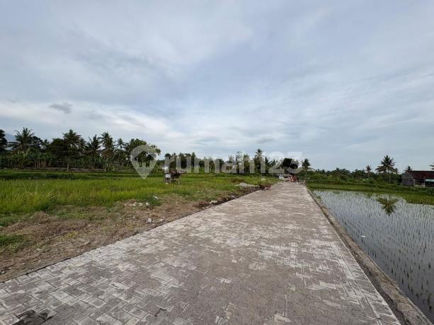 Dekat Kampus Uii Kavling Premium Lingkungan Asri di Pandanaran