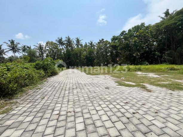 Siap AJB; Murah Dekat Kampus Uad 6; SHM P Siap AJB; Murah Dekat Kampus Uad 6; SHM P