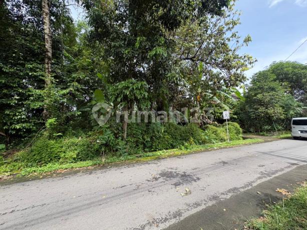 Kalasan; Tanah Murah Dekat Jl. Solo; Shmp Kalasan; Tanah Murah Dekat Jl. Solo; Shmp