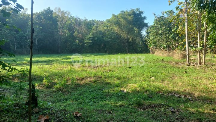 Bangunjiwo, Tanah Kasihan Bantul, Dekat Perumahan Padma Residence