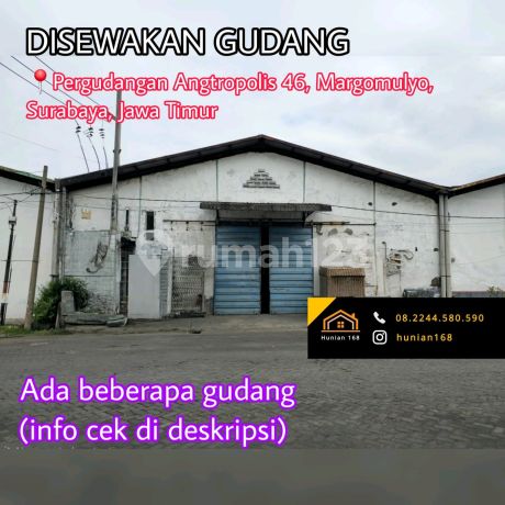 Sewa Gudang Pergudangan Margomulyo Angtropolis 46 31 Suri Mulia Permai Surabaya Sewa Gudang Pergudangan Margomulyo Angtropolis 46 31 Suri Mulia Permai Surabaya