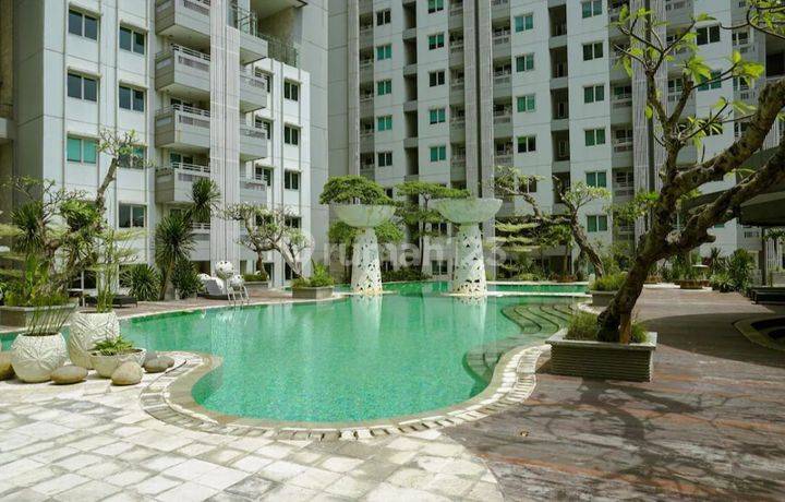 Apartment Sky Terrace Daan Mogot 2 Br Rapi Semi Furnished