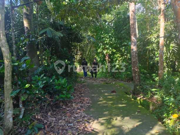 Tanah Murah di Jl. Blondo No. 2, Blondo, Mungkid, Magelang, Jawa Tengah, Indonesia, 56512, Magelang Tengah SHM 4225.0 m²