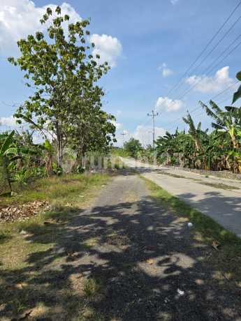 Tanahkavlinglokasi Bukitrowosari Tanahkavlinglokasi Bukitrowosari