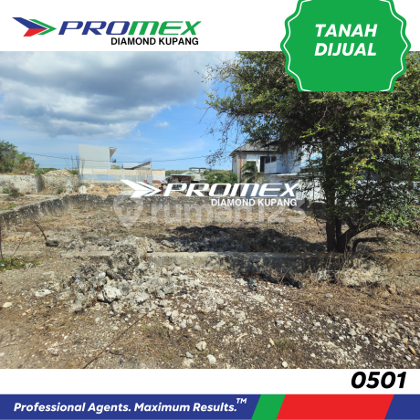 DIJUAL TANAH LOKASI RSS OESAPA NON BLOK KUPANG